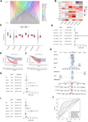 Cuproptosis-associated lncRNAs discern prognosis and immune microenvironment in sarcoma victims